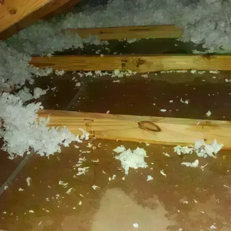 Attic Water Damage in Vivian, LA