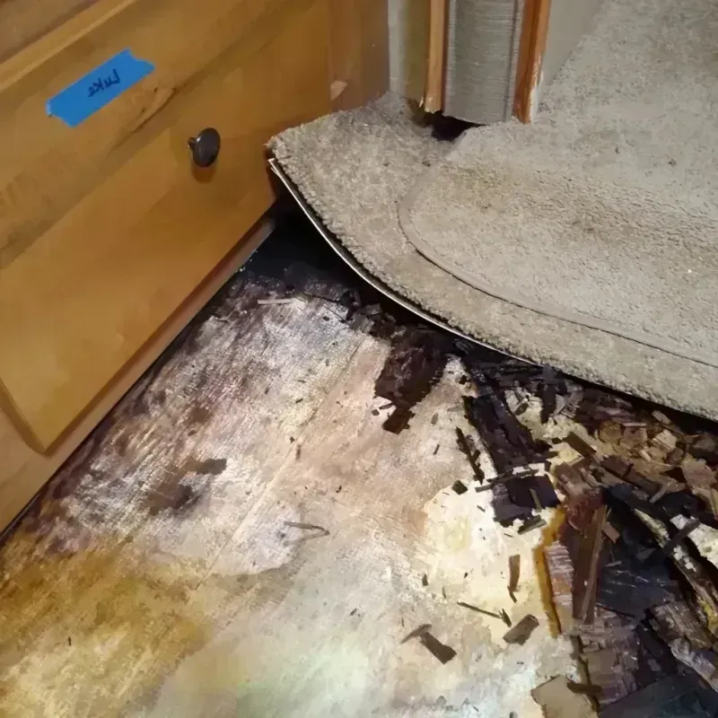 Wood Floor Water Damage in Vivian, LA